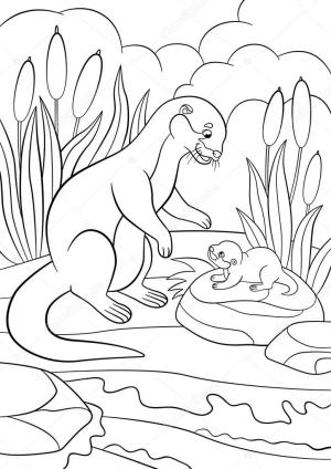 Su Samuru boyama sayfası, Otters coloring page, Su Samuru 19, 