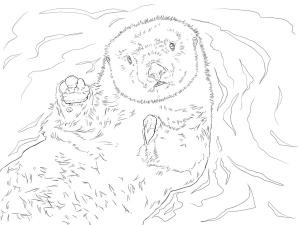 Su Samuru boyama sayfası, Otters coloring page, Su Samuru 4, 