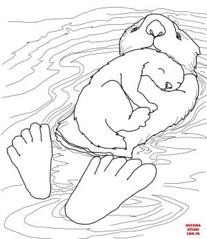 Su Samuru boyama sayfası, Otters coloring page, , otters sea ottter with baby 