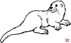 Su Samuru boyama sayfası, Otters coloring page, , otters otter 