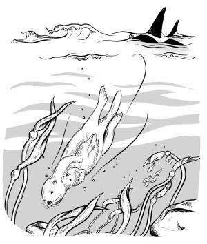 Su Samuru boyama sayfası, Otters coloring page, , otters sea otter with her baby hides from orca 