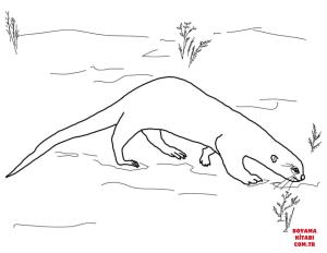 Su Samuru boyama sayfası, Otters coloring page, , otters giant otter 