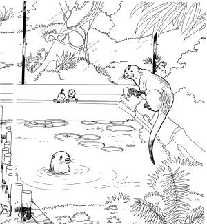 Su Samuru boyama sayfası, Otters coloring page, , otters river otter in a zoo 