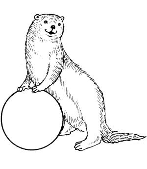 Su Samuru boyama sayfası, Otters coloring page, Su Samuru 18, 