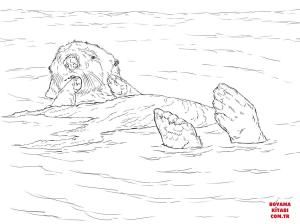 Su Samuru boyama sayfası, Otters coloring page, , otters sea otter floating 