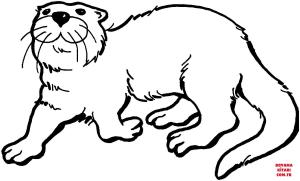 Su Samuru boyama sayfası, Otters coloring page, , otters otter 