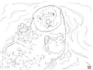 Su Samuru boyama sayfası, Otters coloring page, , otters sea otter portrait 