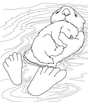 Su Samuru boyama sayfası, Otters coloring page, Su Samuru 10, 