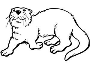 Su Samuru boyama sayfası, Otters coloring page, Mutlu su samuru, 