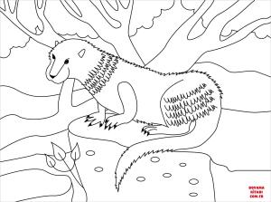 Su Samuru boyama sayfası, Otters coloring page, , otters otter 