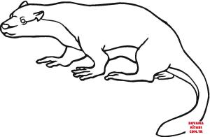 Su Samuru boyama sayfası, Otters coloring page, , otters north american river otter 