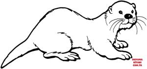 Su Samuru boyama sayfası, Otters coloring page, , otters otter 