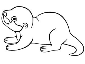 Su Samuru boyama sayfası, Otters coloring page, Yavru bir su samuru, 