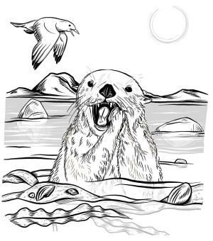 Su Samuru boyama sayfası, Otters coloring page, , otters sea otter eating urchin 