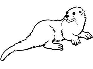 Su Samuru boyama sayfası, Otters coloring page, Su Samuru 17, 