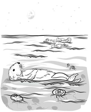 Su Samuru boyama sayfası, Otters coloring page, , otters sea otters 