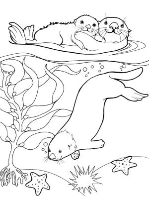 Su Samuru boyama sayfası, Otters coloring page, Su samuru ailesi, 