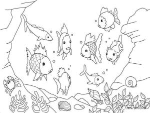 Sualtı Dünyası boyama sayfası,  coloring page, Ücretsiz Yazdır Sualtı Dünyası, 