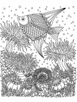 Sualtı Dünyası boyama sayfası,  coloring page, Yazdırılabilir Sualtı Dünyası, 