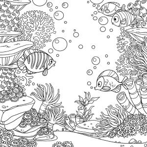 Sualtı Dünyası boyama sayfası,  coloring page, Sualtı Dünyası HD, 