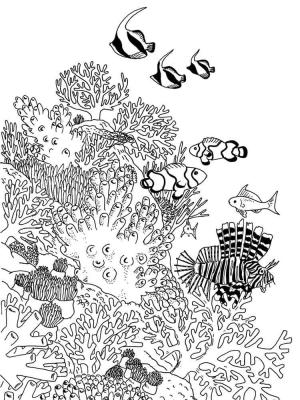 Sualtı Dünyası boyama sayfası,  coloring page, Sualtı Dünyası Resmini Yazdır, 