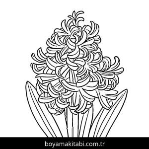 Sümbül boyama sayfası – okul öncesi, evde etkinlik