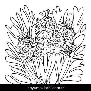 Sümbül boyama sayfası – yaratıcılığı geliştirir, keyifli zaman