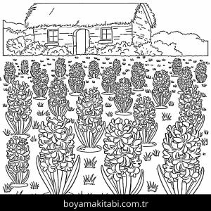 Sümbül boyama sayfası – keyifli zaman, renkli çizimler