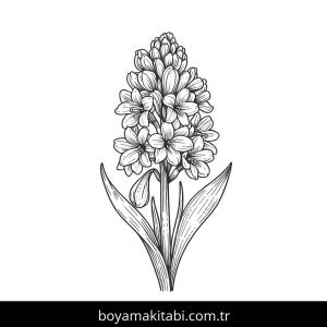 Sümbül boyama sayfası – çocuk aktivitesi, PDF indir