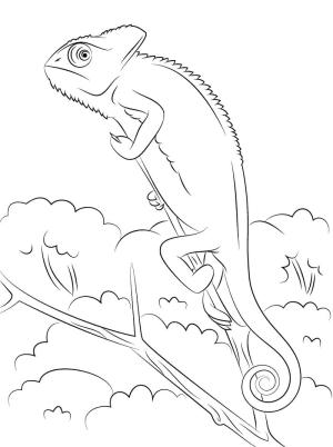 Sürüngenler boyama sayfası,  coloring page, örtülü Bir Bukalemun, 