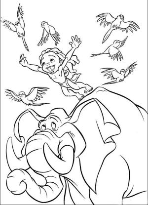 Tarzan boyama sayfası,  coloring page, Tarzan ve Tantor, 