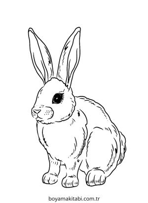 Tavşan boyama sayfası – renkli çizimler, okul öncesi