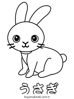 Tavşan Boyama