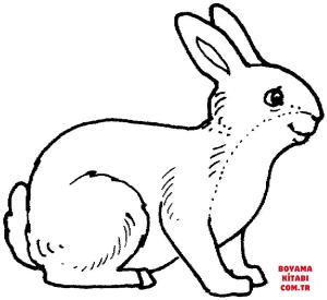 Tavşan boyama sayfası, Rabbits coloring page, , rabbits rabbit 