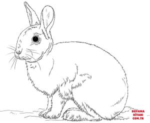 Tavşan boyama sayfası, Rabbits coloring page, , rabbits cute bunny rabbit 