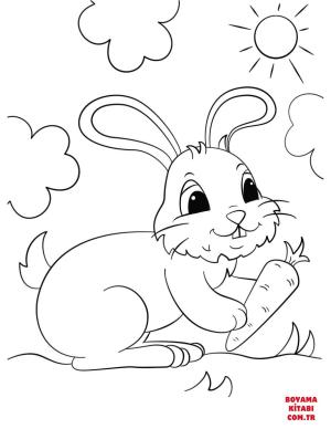 Tavşan boyama sayfası, Rabbits coloring page, , rabbits cute bunny holding a carrot 