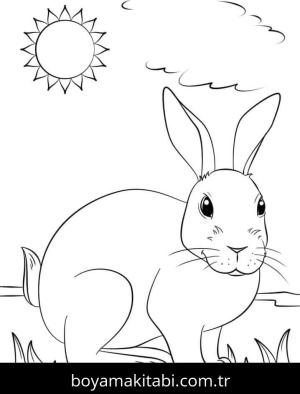 Tavşan Boyama
