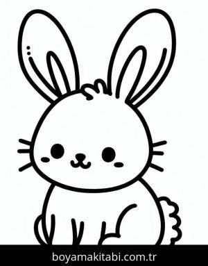 Tavşan Boyama