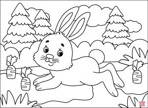 Tavşan boyama sayfası, Rabbits coloring page, , rabbits bunny 