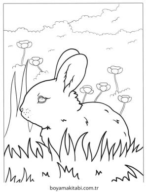 Tavşan boyama sayfası – yaratıcılığı geliştirir, keyifli zaman