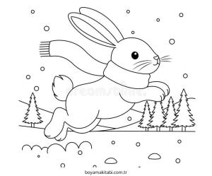 Tavşan Boyama