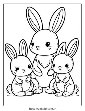 Tavşan Boyama