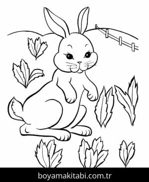Tavşan boyama sayfası – evde etkinlik, ücretsiz yazdır