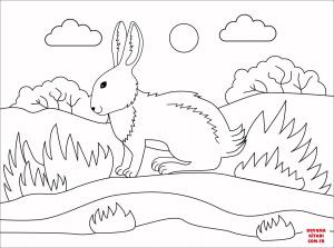 Tavşan boyama sayfası, Rabbits coloring page, , rabbits bunny 