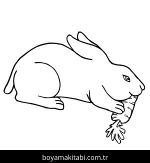 Tavşan boyama sayfası, Rabbits coloring page, , Rabbits Eat Carrots