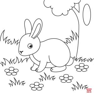 Tavşan boyama sayfası, Rabbits coloring page, , rabbits cute bunny 