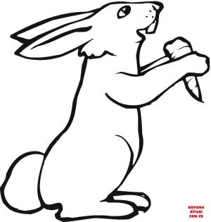 Tavşan boyama sayfası, Rabbits coloring page, , rabbits bunny eating carrot 