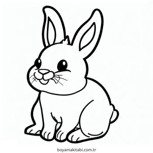 Tavşan Boyama