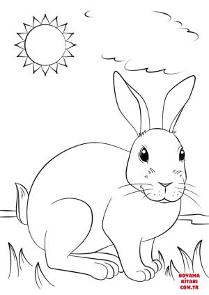 Tavşan boyama sayfası, Rabbits coloring page, , rabbits cute rabbit 