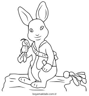 Tavşan Boyama